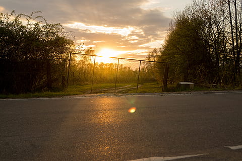 sunset, border, overcoming, light, alone, dom, dazzle, idyllic, road, landscape, field, sky, nature, evening, mood, abendstimmung, lighting, autumn, fence, tree, plant, cloud - sky, no people, beauty in nature, sunlight, tranquility, transportation, tranquil scene, scenics - nature, growth, sun, street, outdoors, orange color, non-urban scene, 5K, CC0, public domain, royalty free