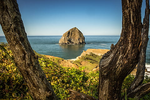 Inselansicht, Land, draußen, Natur, Vorgebirge, Küstenlinie, Wasser, Meer, Ozean, Cliff, Küste, Pflanze, Baum, Baumstumpf, Baumstamm, Insel, Holz, Rock, Bucht, Höhle, Halbinsel, Himmel, Schönheit in der Natur, Ruhe, Szenen - Natur, ruhige Szene, Kofferraum, Horizont über Wasser, Tag, keine Leute, klarer Himmel, Horizont, Blau, Gestein stapeln, 5K, CC0, gemeinfrei, lizenzfrei