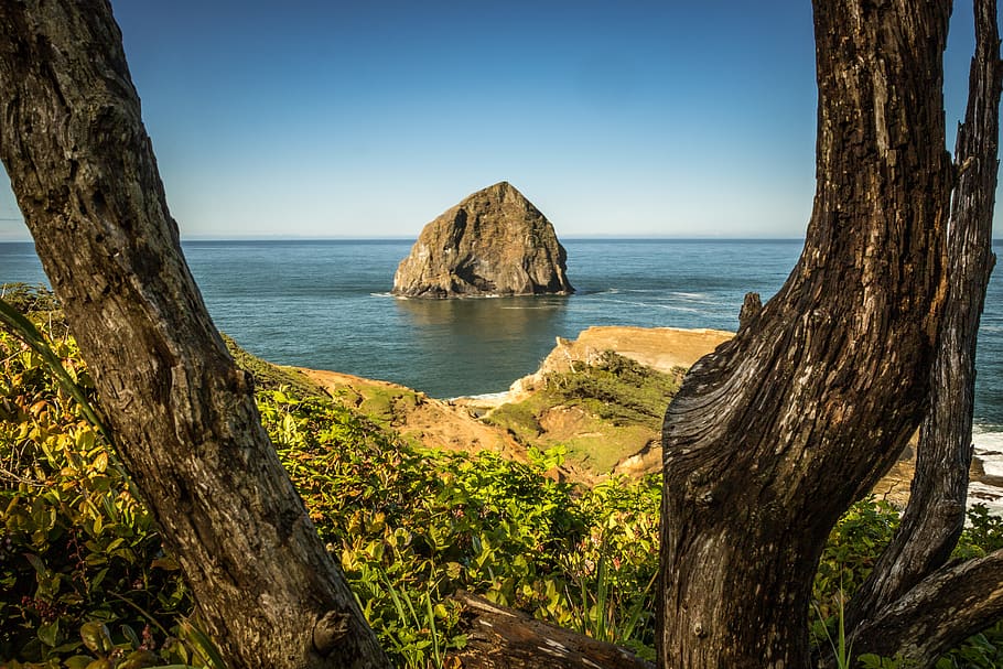 Inselansicht, Land, draußen, Natur, Vorgebirge, Küstenlinie, Wasser, Meer, Ozean, Cliff, Küste, Pflanze, Baum, Baumstumpf, Baumstamm, Insel, Holz, Rock, Bucht, Höhle, Halbinsel, Himmel, Schönheit in der Natur, Ruhe, Szenen - Natur, ruhige Szene, Kofferraum, Horizont über Wasser, Tag, keine Leute, klarer Himmel, Horizont, Blau, Gestein stapeln, 5K