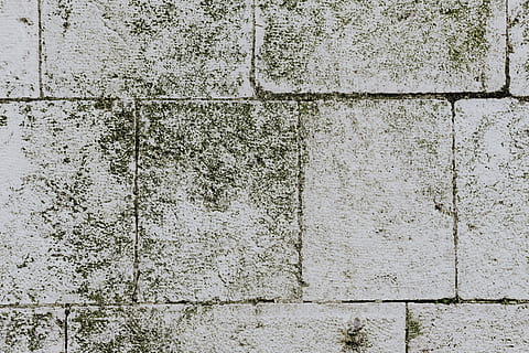 old, brick, stone pavements, bricks, background, pavement, stone, paving, backgrounds, wall - building feature, full frame, built structure, architecture, no people, wall, textured, pattern, day, weathered, rough, building exterior, outdoors, concrete, stone wall, gray, deterioration, decline, 5K, CC0, public domain, royalty free