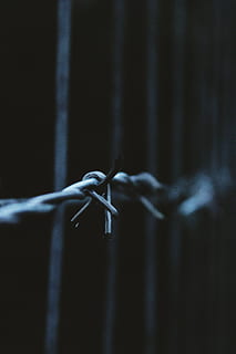 barbed wire, depth of field, fence, metal, sharp, security, safety, protection, close-up, boundary, barrier, selective focus, focus on foreground, wire, no people, chain, tied up, strength, connection, dark, outdoors, lock, exclusion, 5K, CC0, public domain, royalty free