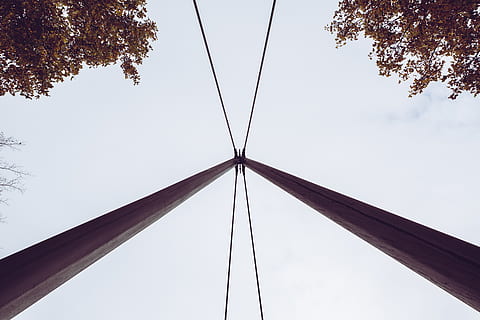 træ, elektrisk enhed, antenne, bygning, arkitektur, hjælpepol, himmel, plante, kabel, struktur, skyskraber, foran, høj, opad, wei fl, skyline, metropol, by-, moderne, afregning, lav vinkel visning, forbindelse, ingen mennesker, natur, dag, skyfri himmel, bygget struktur, bro, udendørs, bro - menneskeskabt struktur, direkte under, metal, vækst, form, transportmidler, Strømforsyning, 5K, CC0, offentligt domæne, royaltyfrie