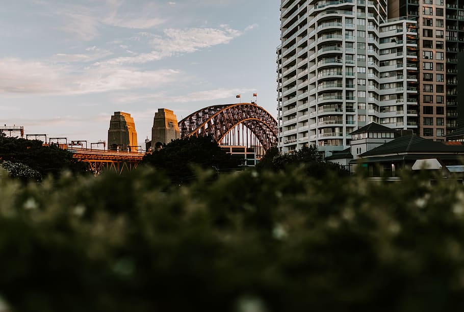 edifici de formigó gris, edifici, ciutat, sydney, edifici d'oficines, urbà, metròpolis, pont del port de Sydney, Austràlia, arquitectura, cel, a l'aire lliure, campanar, fletxa, torre, llum, flamarada, paisatge, pont portuari, posta de sol, estructura construïda, exterior de l'edifici, planta, cap gent, naturalesa, núvol - cel, arbre, connexió, pont, transport, pont - estructura feta per l'home, dia, destinacions de viatge, exterior d’edifici d’oficines, gratacels, 5K