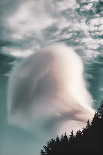 ขาว, cloudformation, สีน้ำเงิน, ท้องฟ้า, ตอนกลางวัน, เมฆ, พายุ, รูปร่าง, ต้นไม้, ป่า, ป่าไม้, กลางแจ้ง, ธรรมชาติ, หลอดไฟฟ้า, การเปิดรับแสงนาน, เมฆ - ท้องฟ้า, สภาพอากาศ, Cloudscape, วัน, scenics, ความงามในธรรมชาติ, ภูมิหลัง, ฤดูร้อน, แสงแดด, ภูมิประเทศ, ไม่มีคน, ช่องว่าง, ฤดู, ดวงอาทิตย์, ฉากที่เงียบสงบ, แสง - ปรากฏการณ์ธรรมชาติ, ภาพสี, ฤดูหนาว, 5K, CC0, โดเมนสาธารณะ, ค่าลิขสิทธิ์ฟรี