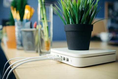 sans fil, routeur apple, blanc, pistes, attaché, plante de bureau, mis, Haut, routeur., fournisseurs de bureau, Contexte., table, à l'intérieur, plante, vase, La technologie, la communication, fermer, fleur, lien, personne, la nature, meubles, mise au point sélective, santé et médecine, plante à fleurs, Technologie sans fil, ordinateur, tasse, Nourriture et boisson, plante en pot, plante d'appartement, arrangement de fleurs, pot de fleur, 5K, CC0, domaine public, libre de droits