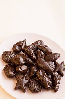 sortiert, Sortiment, Hintergrund, Belgier, Bonbon, braun, Süßigkeiten, Schokolade, Kakao, Konfekt, dekorativ, köstlich, Dessert, Urlaub, Marine, gemischt, vorhanden, Meer, Meeresfrüchte, Muschel, einstellen, gestalten, Schale, Seestern, Süss, Studioaufnahme, drinnen, weißer Hintergrund, Essen und Trinken, Lebensmittel, Stillleben, Süßes Essen, Versuchung, kopieren sie platz, keine Leute, Nahansicht, Genuss, Frische, ungesunde Ernährung, Tabelle, High Angle View, 2K, CC0, gemeinfrei, lizenzfrei