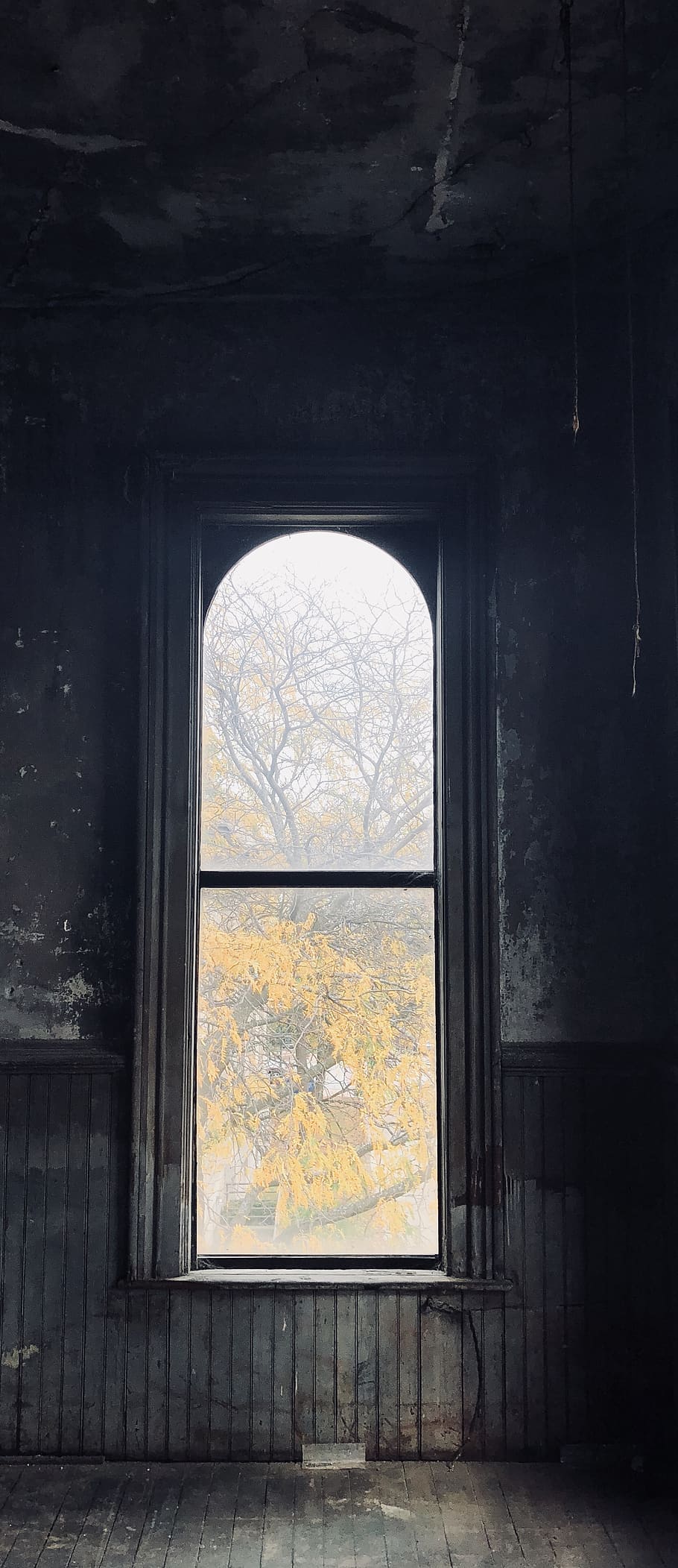 fereastră, grunge, umbră, clădire, copac, cădea, toamnă, contrast, vechi, epocă, abandonat, interior, cameră, arhitectură, sticlă - material, nici o persoana, în interior, zi, construită, transparent, plantă, natură, montare pe perete, casă, învechit, istorie, trecutul, 4K