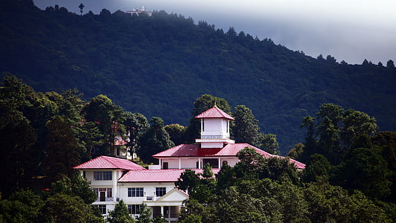 nepal, dhading, arbre, arquitectura, planta, exterior de l'edifici, estructura construïda, edifici, muntanya, casa, cap gent, naturalesa, creixement, dia, color verd, barri residencial, bellesa a la natura, escenics - natura, bosc, a l'aire lliure, terra, vista d’angle alt, 5K, CC0, domini públic, lliure de regalies