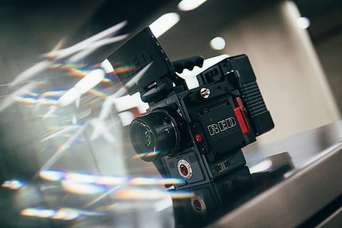 aparat foto, Electronică, cameră video, Dragon rosu, camera roșie, fotografie, camera digitala, în interior, design interior, inflori, plantă, petală, floare, iluminat, obiectivul camerei, fotograf, ecran LCD, Monitor, afişa, fotografii tematice, tehnologie, aparat de fotografiat - echipament fotografic, arta culturii și divertismentului, Industrie cinematografică, echipament fotografic, a închide, televizor, filmare, activitate, nici o persoana, industria de televiziune, camera video de acasă, Sesiuni foto, comunicare, cameraman, film, video, 5K, CC0, domeniu public, fără drepturi de autor