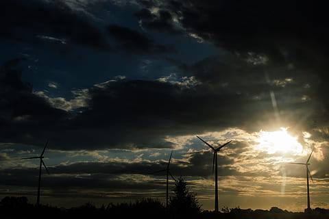 wind turbines, sunset, alternative, background, clean, development, ecological, ecology, electric, electricity, energy, environment, generation, generator, global, green, industrial, industry, innovation, landscape, mill, plant, power, propeller, renewable, silhouette, sky, sunrise, sustainable, technology, turbine, turbines, warming, wind, windmill, cloud - sky, fuel and power generation, beauty in nature, no people, nature, environmental conservation, alternative energy, wind turbine, low angle view, scenics - nature, tree, tranquility, tranquil scene, outdoors, power supply, sustainable resources, power in nature, 4K, CC0, public domain, royalty free