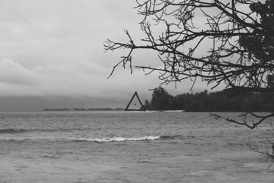 maldives, oceà, triangle, arbre, símbol del mantell, mar, harry potter, Palmera, fons de pantalla, hd, les relíquies mortals, aigua, cel, escenics - natura, naturalesa, planta, bellesa a la natura, tranquil·litat, terra, escena tranquil·la, dia, davant del mar, a l'aire lliure, cap gent, horitzó, platja, núvol - cel, arbre nu, veler, 5K