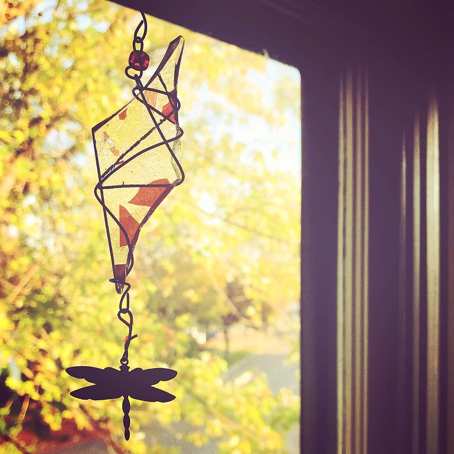 finestra, tardor, caure, libèl·lula, sol, fulles de tardor, vidre, ornament, decoració, adorn de vidre, cable, llum, habitació, vida diària, posta de sol, cap gent, centrar-se en primer pla, dia, vidre - material, equips d’il·luminació, planta, penjant, arbre, a l'aire lliure, naturalesa, transparent, full, vista d’angle baix, groc, part de la planta, primer pla, disseny, forma, llum elèctrica, 2K