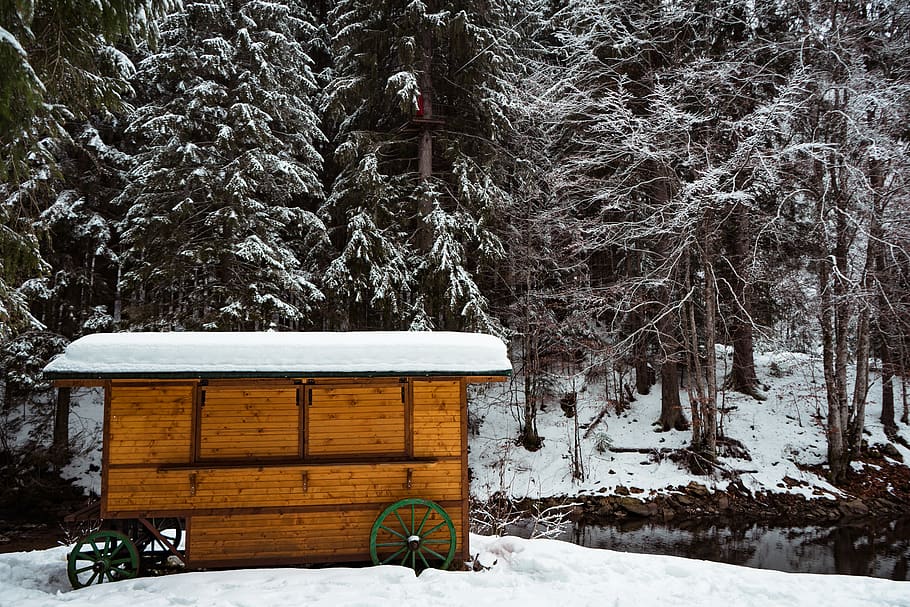 foto, fusta, cobert, neu, branques, fred, ze, zing, gelada, temps gelat, congelat, refugi, naturalesa, temporada, nevat, arbres, temps, hivern, temperatura de fred, arbre, planta, terra, material de fusta, cobertura, cap gent, dia, Color blanc, bosc, tranquil·litat, bellesa a la natura, banc, seient, camp, a l'aire lliure, nevar, 5K