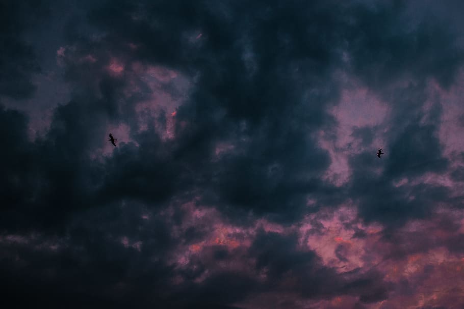 foto di silhouette, Due, volante, uccelli, cielo, tramonto, nube, Cloudscape, struttura, uccello, gabbiano, silhouette, lunatico, sfondo, estate, blu, rosa, volare, natura, nuvola - cielo, tempo metereologico, sfondi, all'aperto, buio, notte, nuvoloso, crepuscolo, Paesaggi, cielo drammatico, bellezza nella natura, aria, meteorologia, Paradiso, luce - fenomeno naturale, spazio, tempesta, luce del sole, giorno, sole, clima, stratosfera, 5K