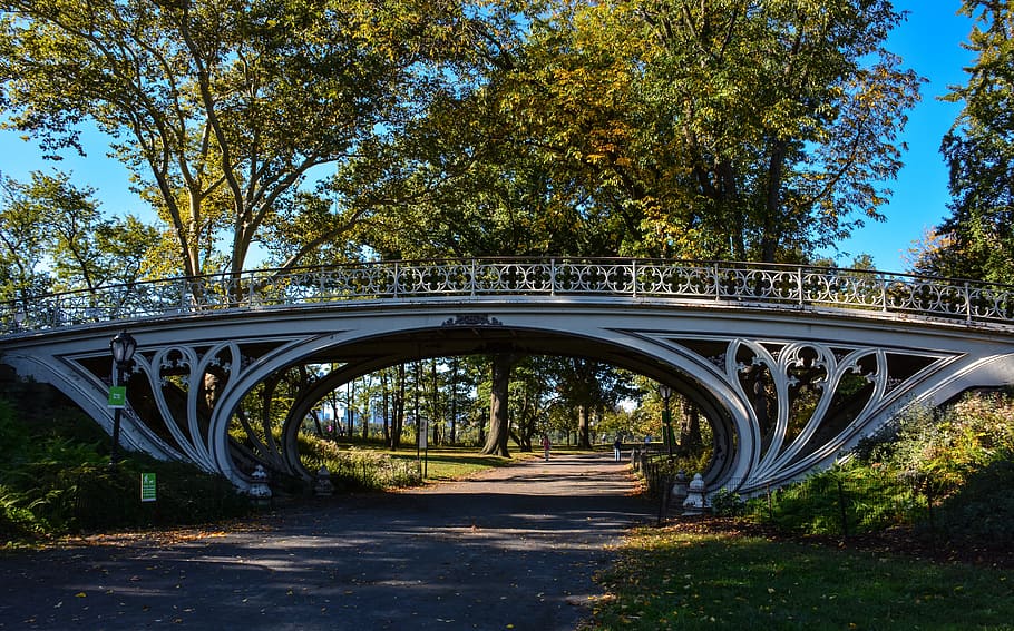 pont, Camí, arbres, escènic, parc, vianants, passeig marítim, Parc Central, new york, EUA, Estats Units, arbre, planta, pont - estructura feta per l'home, estructura construïda, arquitectura, connexió, naturalesa, transport, cap gent, llum solar, dia, direcció, parc - l'home va fer espai, el camí a seguir, cel, arc, creixement, a l'aire lliure, pont d’arc, 5K