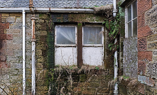finestres blanques tancades, decoració de la llar, porta, finestra, maó, planta, Camí, passarel·la, pissarra, arquitectura, edifici, sostre, heura, a l'aire lliure, paret, cortina, ombra de la finestra, obturador, barana, jardí, estructura construïda, exterior de l'edifici, entrada, vell, casa, cap gent, dia, abandonat, funció de construcció de parets, resistent, obsoleta, història, espatllat, deteriorament, paret de pedra, arruïnat, 2K, CC0, domini públic, lliure de regalies