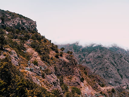 brązowe góry, Góra, herb, na dworze, Natura, pasmo górskie, Hiszpania, la gomera, las, wegetacja, roślina, flora, krzak, krajobraz, sceneria, drzewo, Klif, wylądować, Las deszczowy, drzewo iglaste, sosna, niebo, scenics - natura, piękno natury, spokojna scena, żadnych ludzi, spokój, środowisko, scena pozamiejska, dzień, skała, rock - obiekt, mgła, tworzenie, szczyt górski, 4K, CC0, domena publiczna, darmowe zdjęcia