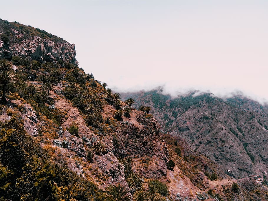hnědé hory, hora, hřeben, venku, Příroda, pohoří, Španělsko, la gomera, les, vegetace, rostlina, flóra, keř, krajina, scenérie, strom, útes, přistát, deštný prales, jehličnatý strom, borovice, nebe, scenics - příroda, krása v přírodě, klidné scény, nikdo, klid, životní prostředí, mimoměstské scény, den, Skála, rock - objekt, mlha, formace, horský vrchol, 4K