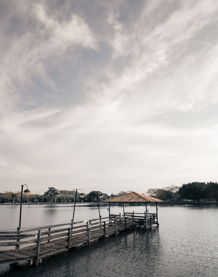 Brun, træ-, strand dock, hvid, overskyet, himmel, skyer, dagslys, dok, miljø, landskab, naturskøn, træer, vand, sky - himmel, bygget struktur, arkitektur, natur, ingen mennesker, havnefronten, mole, ro, scenics - natur, dag, flod, skønhed i naturen, rolig scene, forbindelse, rækværk, udendørs, 4K