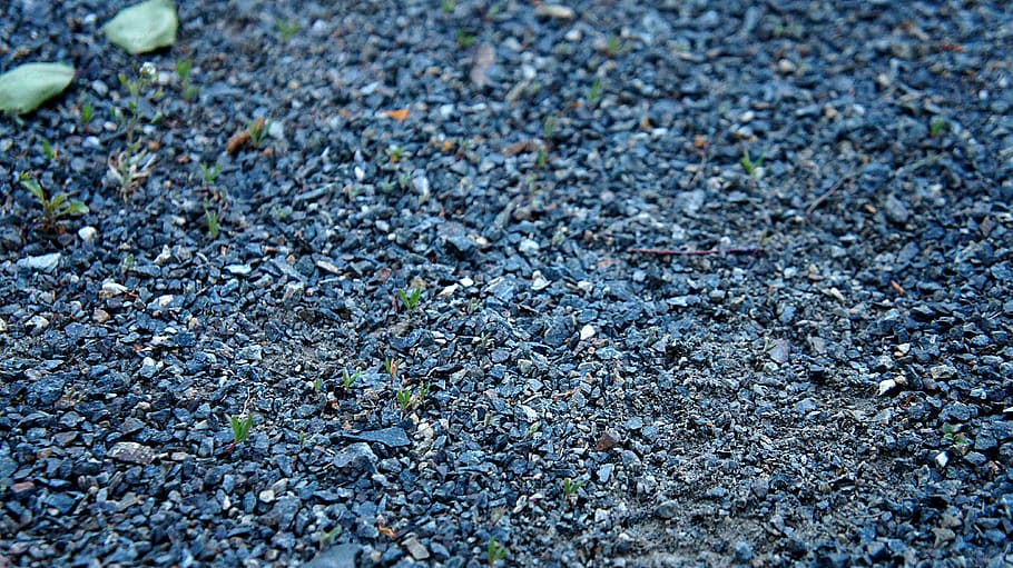 llac, ural, cap gent, dia, textura, naturalesa, camp, vista d’angle alt, enfocament selectiu, terra, marc complet, carretera, fons, sòlid, primer pla, a l'aire lliure, aspre, planta, rock, pedra - objecte, asfalt, carrer, nivell superficial, còdols, 4K