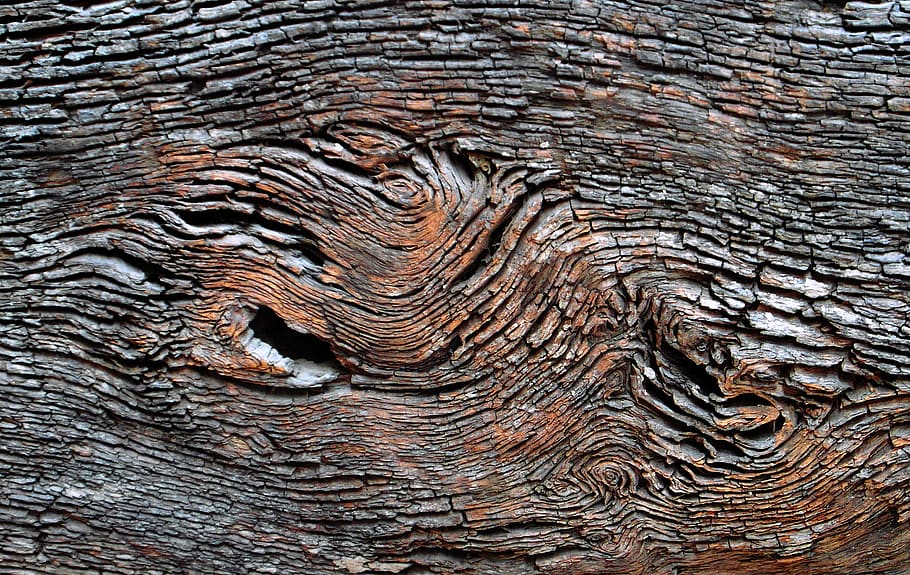 braune Baumplatte, Muster, Hintergründe, Vollbild, texturiert, Holz - Material, keine Leute, Nahansicht, Baum, natürliches Muster, Holz, Natur, Holzmaserung, Rau, Baumstamm, Tag, braun, Pflanze, Kofferraum, draußen, Wald, Borke, Baumring, 2K