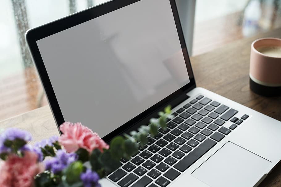 MacBook Pro, electrònica, teclat, portàtil, pantalla, ordinador, tecnologia, tecnologia sense fils, comunicació, connexió, equips informàtics, planta amb flors, taula, teclat d’ordinador, flor, planta, a l'interior, Internet, xarxa d’ordinadors, cap gent, primer pla, dispositiu d’informació portàtil, naturalesa, usant portàtil, en blanc, clau d’ordinador, 1080P