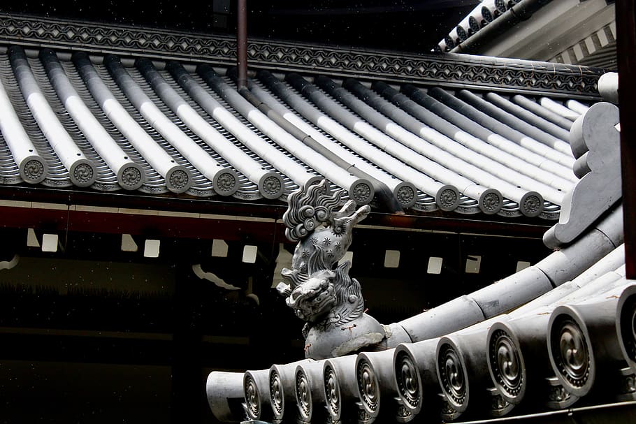 grigio, statuetta, tetto, Giappone, Kyoto, macchina, ruota, ringhiera, corrimano, costruzione, architettura, tetto di tegole, tempio, animale, natura, Leone, mammifero, culto, santuario, cittadina, metropoli, urbano, scultura, rappresentazione, arte e artigianato, statua, creatività, rappresentazione animale, nessuno, struttura costruita, Inquadratura dal basso, giorno, mestiere, spiritualità, religione, credenza, in casa, metallo, ornato, soffitto, 5K