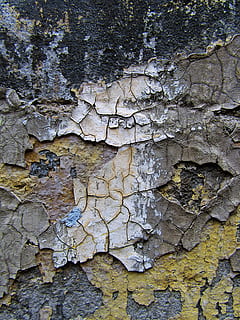 chão, plantar, árvore, tronco de árvore, textura, Rocha, algas, lama, folha, solo, fungo, palavra, alcatrão, calcário, invertebrado, inseto, animal, inseto grilo, buraco, destroços, Pedregulho, texturizado, origens, quadro completo, ninguém, dia, rude, intemperizado, casca de planta, tronco, fechar-se, padronizar, velho, ao ar livre, recurso de construção de parede, natureza, crescimento, descascando, latido, líquen, 2K, CC0, domínio público, royalty free