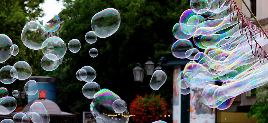 Bolle di sapone, sapone, soffio, bolla, divertimento, giocare, bambini, volante, infanzia, schiuma, cielo, trasparente, palla, leggero, arioso, colorato, colore, vulnerabilità, fragilità, sapone sud, multicolore, mezz'aria, natura, nessuno, bacchetta, pianta, giorno, forma, sfera, concentrarsi sulle conoscenze acquisite, design, all'aperto, avvicinamento, albero, morbidezza, 5K