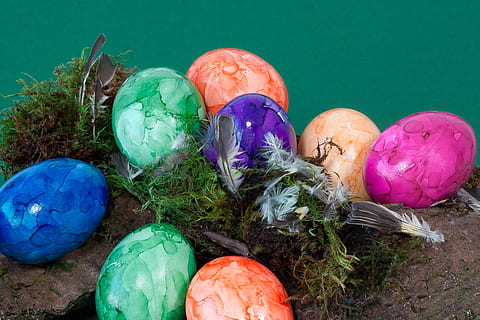 æg, farverig, påskeæg, påske reden, påske, maling, farve, farvet, glad, venlige, smuk, forår, spise, lækker, gul, orange, blå, grøn, violet, oval, mos, multi farvet, fest, ferie, mad, ingen mennesker, stilleben, mad og drikke, tæt på, variation, valg, grøn farve, høj vinkel visning, indendørs, gruppe af objekter, æggekarton, lilla, fristelse, 4K, CC0, offentligt domæne, royaltyfrie