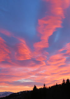 Fotografie, wolkig, Himmel, Dämmerung, hinterleuchtet, Wolken, Umgebung, idyllisch, Natur, friedlich, Landschaft, szenisch, Sonnenaufgang, Sonnenuntergang, still, Bäume, Winter, Wald, Schönheit in der Natur, wolke - himmel, Szenen - Natur, Ruhe, ruhige Szene, Baum, Silhouette, Pflanze, orange Farbe, keine Leute, Nicht-städtische Szene, Dramatischer Himmel, Wachstum, Land, draußen, Flachwinkelansicht, 4K, CC0, gemeinfrei, lizenzfrei