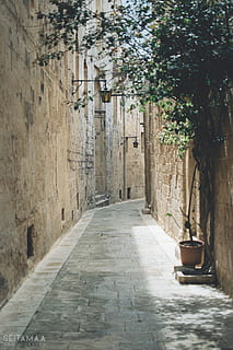 Straße zwischen Mauern, Stadt, Straße, Stadt, Dorf, städtisch, Gebäude, Pfad, Gehweg, Steinplatte, Gasse, Pflaster, Bürgersteig, draußen, Garten, die Architektur, Wand, Laube, Kopfsteinpflaster, Wohnkultur, Pflanze, Baum, Richtung, der Weg nach vorn, keine Leute, Natur, Tag, gebaute Struktur, Gebäudehülle, Abwesenheit, Wachstum, abnehmende Perspektive, Wohngegend, Sonnenlicht, Fußweg, lange, 5K, CC0, gemeinfrei, lizenzfrei