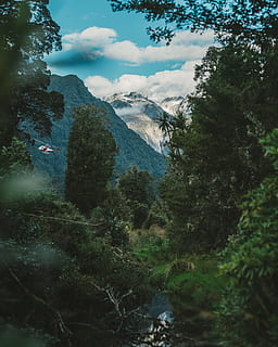 foto, elicottero, volo, foresta, natura, albero, nube, ghiacciaio, Nuova Zelanda, fiume, montagna, cielo sereno, la neve, ghiaccio, nascosto, ruscello, verde, verdura, foresta densa, picco, picco di montagna, paesaggio, Paesaggi, all'aperto, estate, valle, catena montuosa, bellezza nella natura, viaggio, cielo, escursioni a piedi, roccia - oggetto, blu, colore verde, turismo, nuvola - cielo, collina, acqua, destinazioni di viaggio, Asia, Alpi europee, nessuno, 2K, CC0, dominio pubblico, privo di copyright