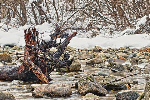 Baum, Wurzel, Natur, Baumwurzel, Log, Holz, alt, Stamm, Bach, Fluss, Steine, Hintergrund, Winter, Naturstein, Rock, solide, Rock - Objekt, Ruhe, kalte Temperatur, Land, Schnee, Tag, keine Leute, Pflanze, Schönheit in der Natur, Szenen - Natur, Wald, Stapel, Holz - Material, ruhige Szene, draußen, tote Pflanze, Borke, 5K, CC0, gemeinfrei, lizenzfrei