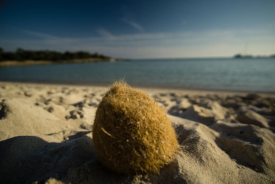 Strand, menorca, Scharf, Meer, weiter Winkel, Land, Himmel, Wasser, Natur, Sand, Fokus auf den Vordergrund, Ruhe, Sonnenlicht, ruhige Szene, Tag, Horizont, Nahansicht, Horizont über Wasser, Schönheit in der Natur, keine Leute, wolke - himmel, draußen, 5K