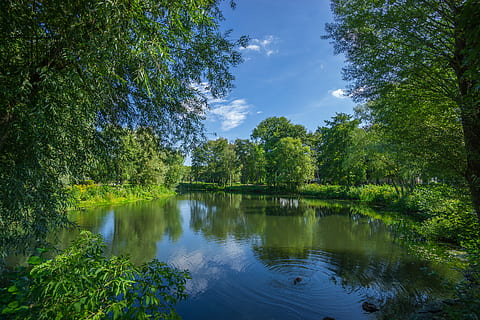 verd, arbres, foto del llac, núvols, la llum del dia, medi ambient, herba, paisatge, naturalesa, parc, plantes, reflexió, ondulacions, escènic, cel, estiu, aigua, fusta, boscos, arbre, planta, bellesa a la natura, tranquil·litat, llac, escenics - natura, escena tranquil·la, color verd, creixement, dia, escena no urbana, cap gent, bosc, núvol - cel, idíl·lic, a l'aire lliure, 5K, CC0, domini públic, lliure de regalies