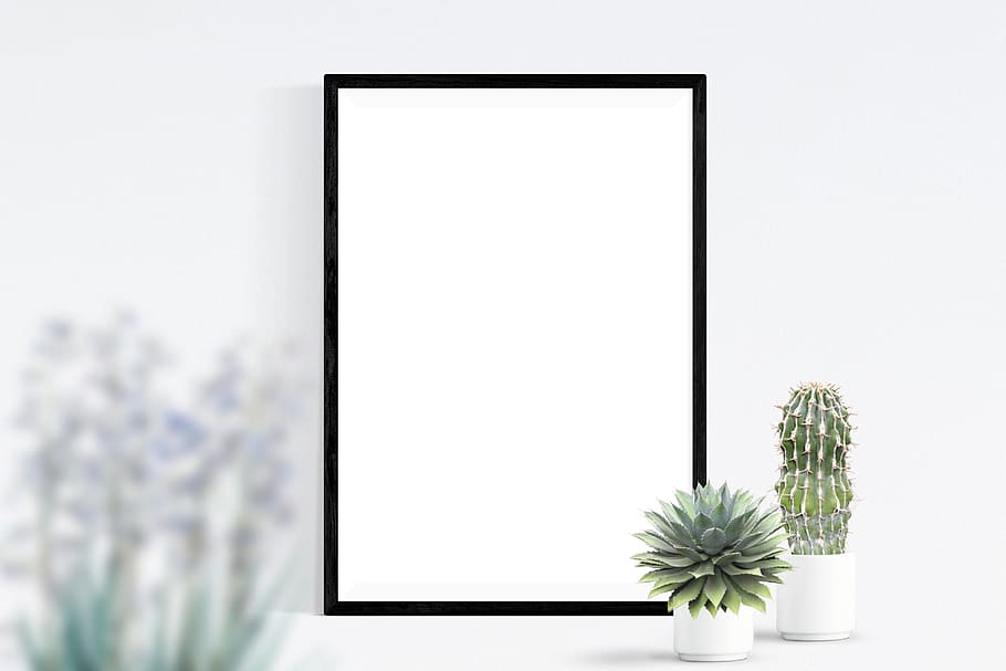 manifesto, telaio, piante, pianta, copia spazio, tecnologia, nessuno, natura, vuoto, Colore bianco, fiore, comunicazione, in casa, pianta fiorita, giorno, concentrarsi sulle conoscenze acquisite, cornice, tavoletta digitale, computer, avvicinamento, semplicità, vaso di fiori, testa di fiore, 5K