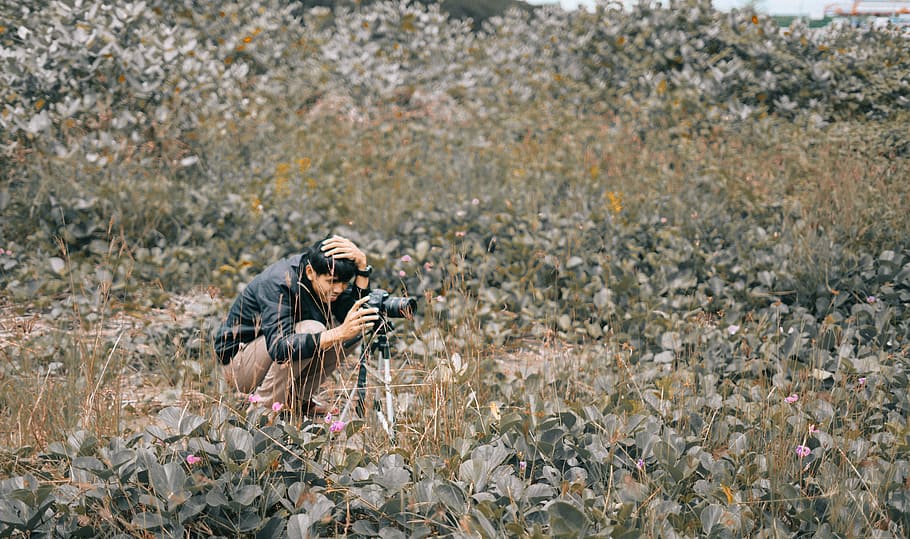 uomo, presa, foto, utilizzando, fotocamera dslr, telecamera, luce del giorno, campo, erba, persona, piante, scattare foto, pianta, terra, adulto, una persona, arma, natura, a caccia, abbigliamento mimetico, fauna selvatica, giorno, pistola, all'aperto, militare, uomini, forze armate, giovane adulto, cacciatore, 5K