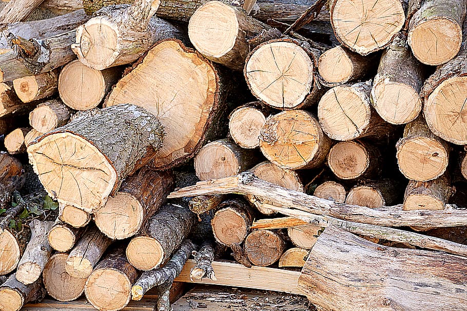 planter, træ, afdeling, bagagerum, skære, efterår, lager, bunke, logfiler, tør, Brun, tømmer, log, tømmerindustrien, Brænde, træ - materiale, skovrydning, stak, Skov, stor gruppe af objekter, miljøspørgsmål, brændstof og elproduktion, overflod, fuld ramme, baggrunde, fossilt brændstof, brændestablen, natur, ingen mennesker, udendørs, hakket, træ ring, 5K