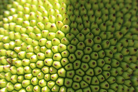 Obst, Textur, Hintergrund, natürlich, Lebensmittel, frisch, organisch, Sommer-, tropisch, saisonal, Früchte, reif, Natur, Muster, grüne Farbe, gesundes Essen, Essen und Trinken, große gruppe von gegenständen, Hintergründe, Vollbild, Fülle, Wohlbefinden, keine Leute, Frische, Nahansicht, Samen, Stillleben, Gruppe von Objekten, draußen, Tropische Frucht, Rohkost, 5K, CC0, gemeinfrei, lizenzfrei