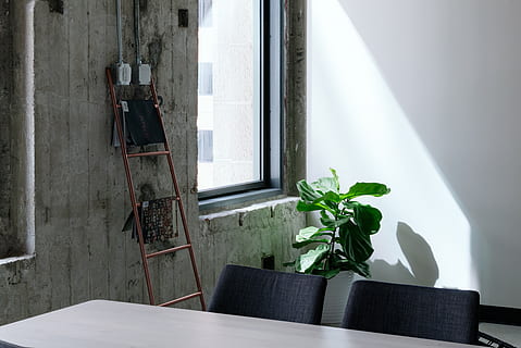 mesa, silla, ventana, vaso, luz del sol, verde, planta, interior, blanco, pared, adentro, nadie, interior de la casa, día, pared - característica de la construcción, mueble, cuarto doméstico, naturaleza, planta en maceta, ausencia, asiento, vacío, edificio, arquitectura, planta de casa, 2K, CC0, dominio público, libre de derechos