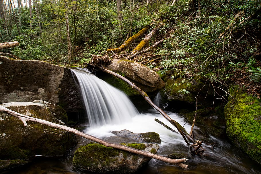 parche máximo, Estados Unidos, cascada, corriente, paisajes - naturaleza, movimiento, agua, belleza en la naturaleza, larga exposición, agua que fluye, árbol, planta, bosque, movimiento borroso, rock, naturaleza, roca - objeto, sólido, escena no urbana, ambiente, fluido, tierra, nadie, al aire libre, poder en la naturaleza, corriente - agua que fluye, selva, 5K