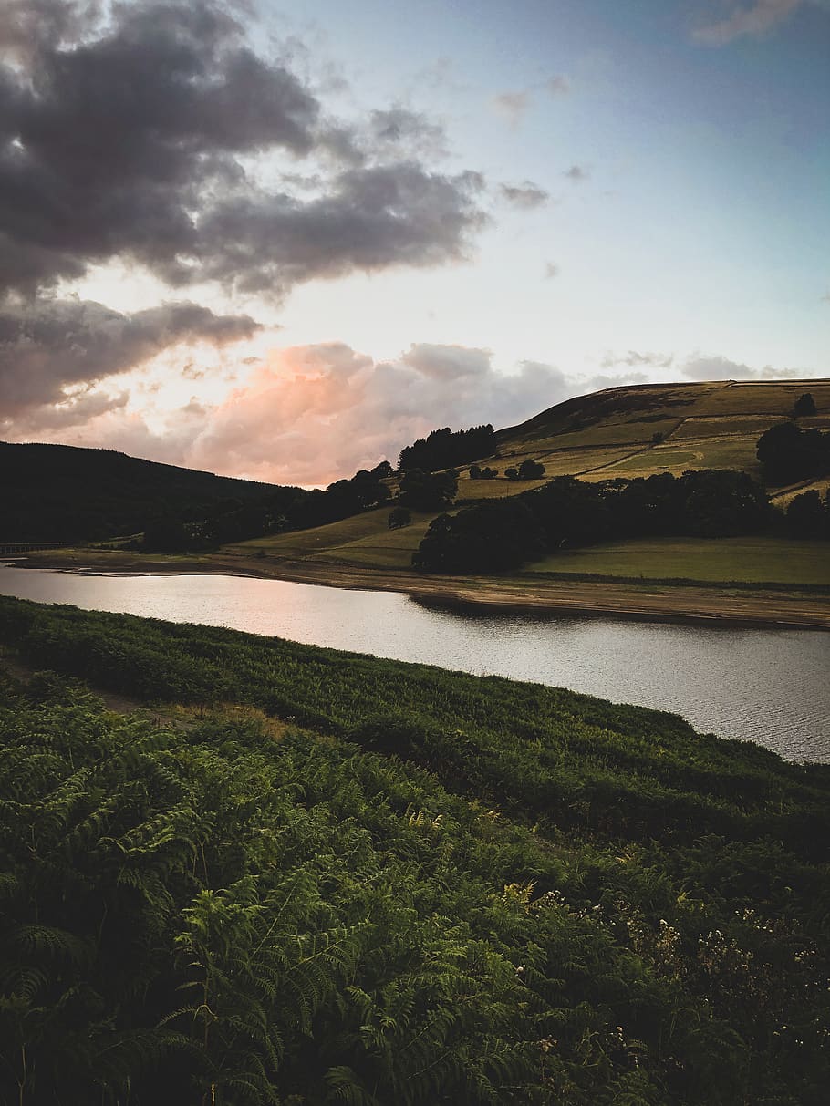 planter, elv, høyde, england, Enger, landskap, fjell, natur, scenisk, himmel, sky - himmel, naturskjønnhet - natur, vann, skjønnhet i naturen, rolig scene, ro, anlegg, grønn farge, land, innsjø, miljø, ingen folk, gress, ikke-urbane scene, dag, vekst, utendørs, 4K