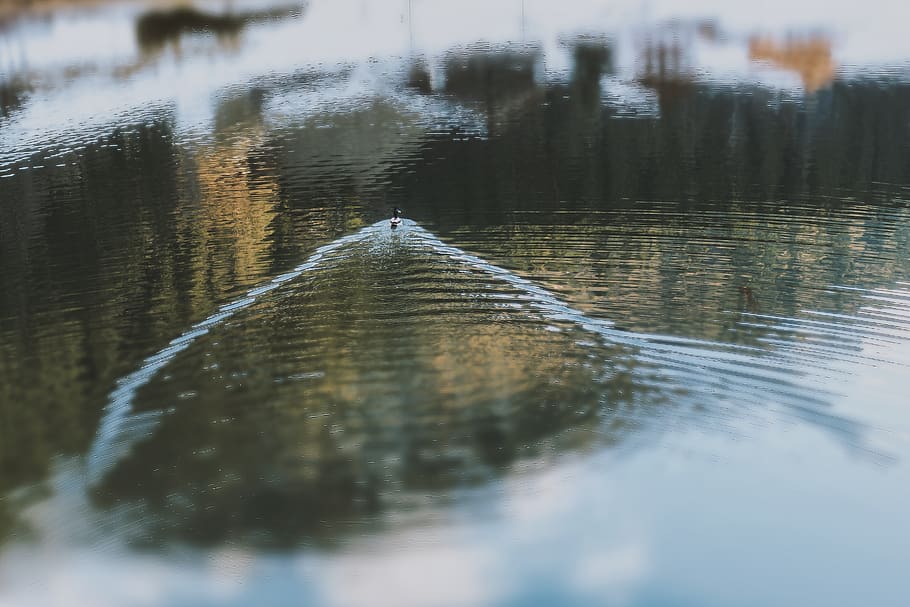 llac, fred, alba, tarda, vora del llac, paisatge, reflexió, ondulació, escènic, posta de sol, aigua, onades, temps, cap gent, dia, enfocament selectiu, arbre, naturalesa, planta, davant del mar, a l'aire lliure, moviment, tranquil·litat, transport, perspectiva decreixent, direcció, arquitectura, bellesa a la natura, nivell superficial, 2K