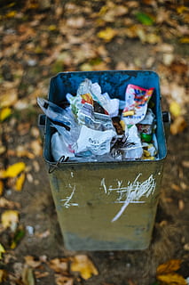 cestino pieno, Forchheim, spazzatura, lattina, all'aperto, produrre, natura, può, cibo, bevanda, bere, alcool, cocktail, Soda, opulenza, frattaglie, prosperità materiale, pattumiera, cumulo di rifiuti, scoria, nessuno, contenitore, avvicinamento, testo, giorno, plastica, messa a fuoco selettiva, Borsa, sceneggiatura occidentale, comunicazione, concentrarsi sulle conoscenze acquisite, terra, cibo e bevande, vista dall'alto, sporco, secchio della spazzature, carta, sacchetto di plastica, Messaggio, 5K, CC0, dominio pubblico, privo di copyright