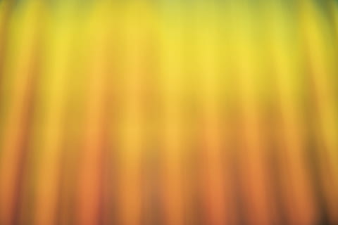 orange, becomes, yellow, photo, Backgrounds, Textures, Abstract, Creative, Light, Minimalist, full frame, no people, pattern, close-up, growth, selective focus, beauty in nature, plant, vibrant color, orange color, metal, textured, day, nature, green color, in a row, outdoors, 4K