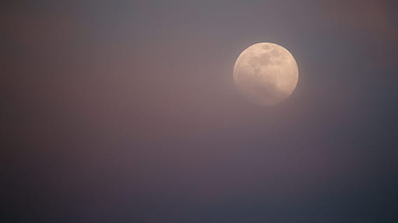 photo de la pleine lune blanche, lune, ciel, nuit, nuage, atmosphère, canon, printemps, couleur de printemps, timing parfait, Pinkmoon, pleine lune, clair de lune, espace, astronomie, tranquillité, scène tranquille, paysages - nature, personne, beauté dans la nature, lune planétaire, espace de copie, forme, la nature, cercle, idyllique, faible angle de vue, Forme géométrique, foncé, en plein air, astrologie, espace et astronomie, 4K, CC0, domaine public, libre de droits