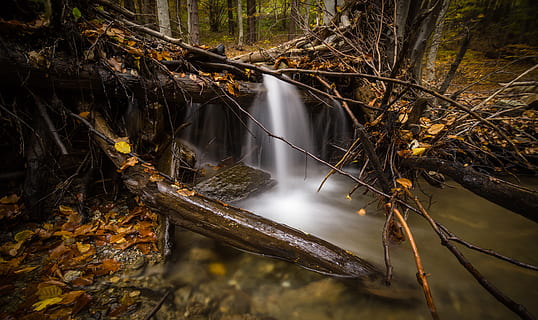 fotografia poklatkowa, spada, otoczony, drzewa, gałęzie, kaskada, środowisko, las, krajobraz, światło, ruch, Natura, sfotografować, strumień, upływ czasu, drzewo, kąpielówki, woda, wodospad, drewno, wylądować, spokój, żadnych ludzi, roślina, piękno natury, Oddział, pnia drzewa, bagażnik samochodowy, spadanie, dzień, część rośliny, upadłe drzewo, na dworze, spokojna scena, scena pozamiejska, lesisty teren, zmiana, Płynąca woda, 5K, CC0, domena publiczna, darmowe zdjęcia
