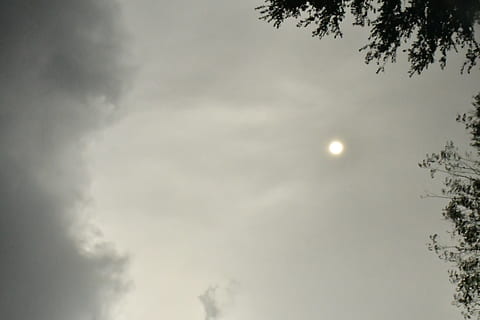 awan kelabu, Abu-abu, ornamen, seni, mekar, vas, botol, tembikar, menanam, flora, bunga, merangkai bunga, ikebana, pohon, konifer, alam, cuaca, kabut, buluh, rumput, Abies, langit, tampilan sudut rendah, awan - langit, keindahan di alam, bulan, ketenangan, tidak ada orang, scenics - alam, adegan yang tenang, di luar rumah, bayangan hitam, malam, senja, ruang, idilis, bulan purnama, sinar bulan, 2K, CC0, domain publik, bebas royalti