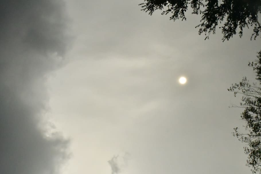 awan kelabu, Abu-abu, ornamen, seni, mekar, vas, botol, tembikar, menanam, flora, bunga, merangkai bunga, ikebana, pohon, konifer, alam, cuaca, kabut, buluh, rumput, Abies, langit, tampilan sudut rendah, awan - langit, keindahan di alam, bulan, ketenangan, tidak ada orang, scenics - alam, adegan yang tenang, di luar rumah, bayangan hitam, malam, senja, ruang, idilis, bulan purnama, sinar bulan, 2K